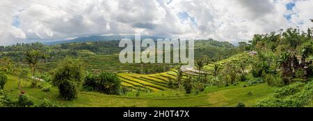 Blick über typische Reisterrassen auf der Insel Bali in Indonesien Stockfoto