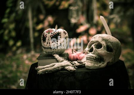 Unheimlicher menschlicher Schädel, Voodoo-Puppe und Kürbis-Halloween. Einrichtung für Allerheiligen. Gruseliger Hintergrund an Halloween. Tonung. Stockfoto