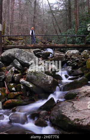 Weibliche Wanderin auf der Brücke über Roaring Fork Creek, Roaring Fork Creek, Gatlinburg, Tennesse Stockfoto