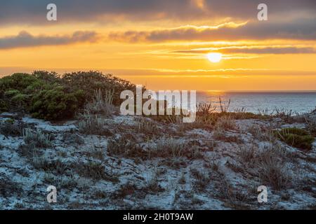 Eine Sanddüne im Vordergrund, wenn die Sonne über dem Pazifik am Ende eines Sommertages vor dem Asilomar State Beach in der Nähe von Monterey California untergeht. Stockfoto