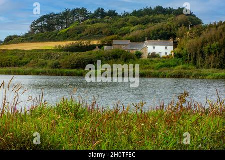 Sommeransicht des Loe, dem größten natürlichen See auf dem Penrose Estate in der Nähe von Helston in Cornwall England Stockfoto