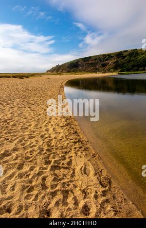 Sommeransicht des Loe, dem größten natürlichen See auf dem Penrose Estate in der Nähe von Helston in Cornwall England Stockfoto