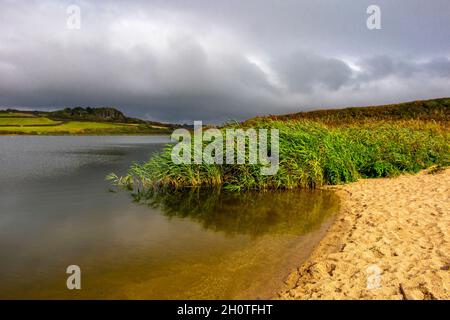 Sommeransicht des Loe, dem größten natürlichen See auf dem Penrose Estate in der Nähe von Helston in Cornwall England Stockfoto