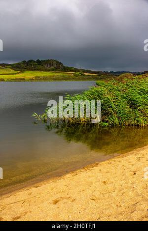 Sommeransicht des Loe, dem größten natürlichen See auf dem Penrose Estate in der Nähe von Helston in Cornwall England Stockfoto