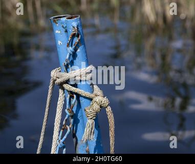 Nahaufnahme von blau rostigen beschädigten, grungigen alten Rohren, die an einem sonnigen Tag mit Seilen in der Natur gefesselt waren Stockfoto