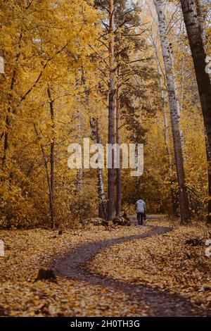 Ein älterer Mann geht allein in einem Herbstpark auf einem kurvenreichen Weg Stockfoto