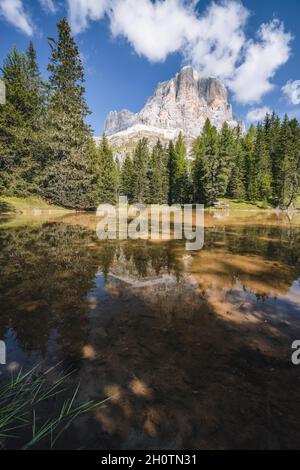 Tofana di Rozes spiegelt sich in einem kleinen Teich auf dem Falzarego-Pass in den Dolomiten in der Provinz Belluno, Venetien, Italien Stockfoto