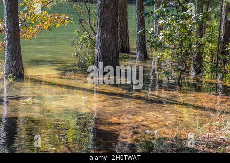 Überschwemmungen am See am Ufer, nachdem im Herbst starke Regenfälle die Felsen und Bäume des Strandes mit dem Sonnenlicht auf dem Wasser bedeckt hatten Stockfoto