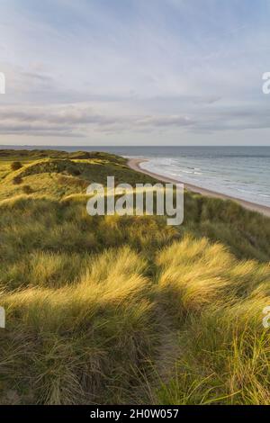 St Aidans Dunes zwischen Seahouses und Bamburgh an der Northumberland Coast mit Marrammgräsern, die das Abendlicht über dem Sandstrand fangen Stockfoto