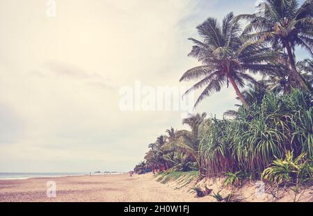 Tropischer Strand, Farbbild, Sri Lanka. Stockfoto