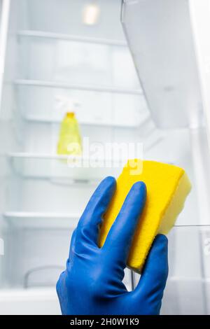 Hände in blauen Handschuhen, um den Kühlschrank im Inneren mit Reinigungsmitteln zu reinigen, die Staub und badf-Geruch enthalten. Stockfoto