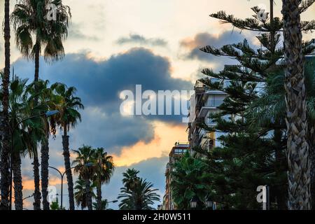Schöner Sonnenuntergang mit Ferienwohnungen und tropischen Pflanzen Stockfoto