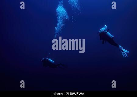 Zwei Taucher schwimmen in tiefblau Stockfoto