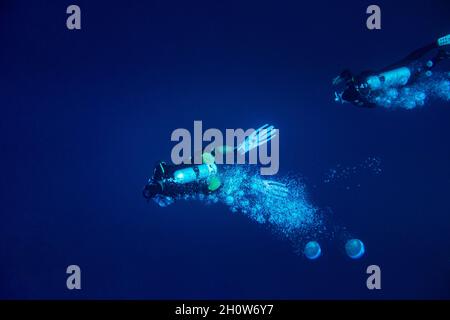 Zwei Taucher schwimmen in tiefblauem Blau, von oben gesehen, die Blasen bilden Stockfoto
