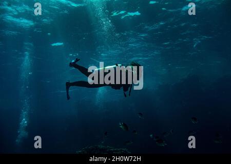 Frau Taucherin schwimmend in tiefblau Stockfoto