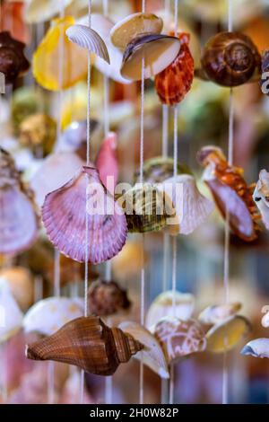 Bunte Muschelschalen auf hängenden Stichen und Schnüren, die als Windspiele oder Handys verwendet werden. Dekorative Muschelwindspiele für den Garten. Farbige Muscheln. Stockfoto