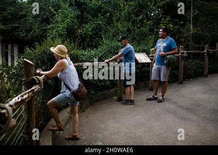 Ehepaar, das im Zoo von Cincinnati mit Son in Law steht Stockfoto