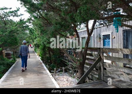 Die Promenade in Cherry Grove, Fire Island, die alle Häuser und Geschäfte der beliebten LGBT-Gemeinschaft verbindet. Stockfoto