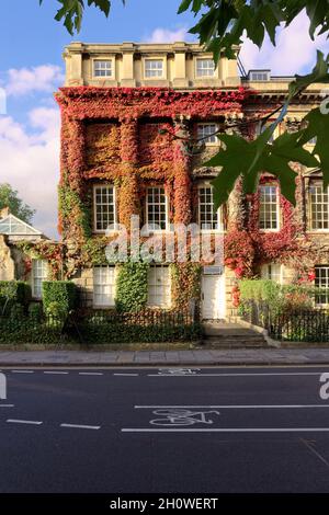 Herbst im Bad Stockfoto