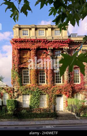 Herbst im Bad Stockfoto