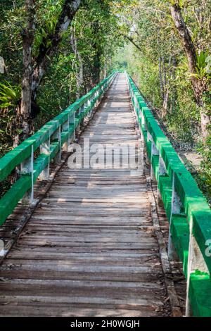 Promenade im Harbaria Eco Park in Sundarbans, Bangladesch Stockfoto