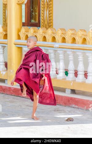 INLE, MYANMAR - 28. NOVEMBER 2016: Buddhistischer Novize spielt in der Alodaw Pauk Pagode am Inle See, Myanmar Stockfoto