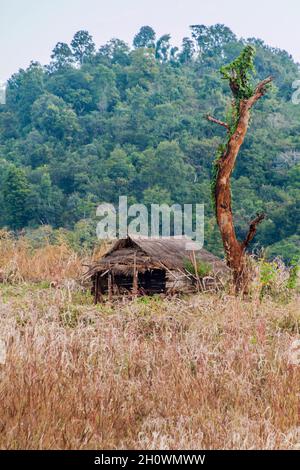 Kleine Hütte auf Feldern in der Nähe von Hsipaw, Myanmar Stockfoto