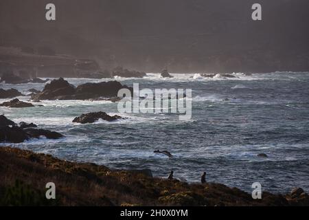 Touristen wandern auf dem Weg vom Highway 1 südlich von Carmel CA Stockfoto