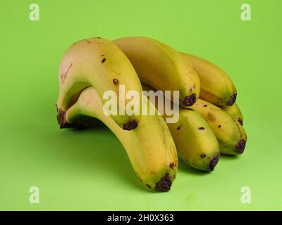 Frisches Bananenbündel auf grünem Hintergrund Stockfoto
