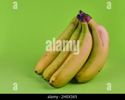 Vertikale Bananenbündel auf grünem Hintergrund Stockfoto