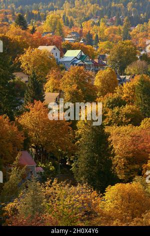 Nelson BC Herbstfarben. Nelson ist eine Stadt in den Selkirk Mountains am Westarm des Kootenay Lake im südlichen Inneren von British Colum Stockfoto