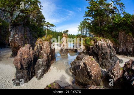 Strand in der San Josef Bay, Cape Scott Provincial Park, Vancouver Island, British Columbia, Kanada Stockfoto