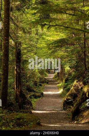 St. Josef Beach, Cape Scott Provincial Park, Vancouver Island, British Columbia, Kanada Stockfoto