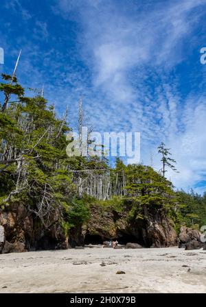 Strand in der San Josef Bay, Cape Scott Provincial Park, Vancouver Island, British Columbia, Kanada Stockfoto