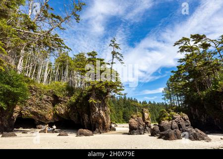 Strand in der San Josef Bay, Cape Scott Provincial Park, Vancouver Island, British Columbia, Kanada Stockfoto