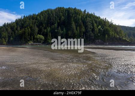 Strand in der San Josef Bay, Cape Scott Provincial Park, Vancouver Island, British Columbia, Kanada Stockfoto