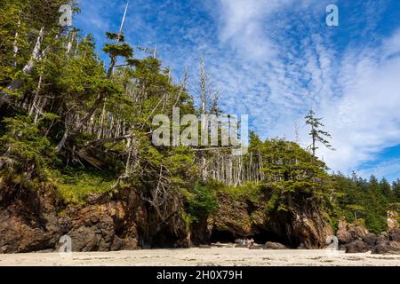 Strand in der San Josef Bay, Cape Scott Provincial Park, Vancouver Island, British Columbia, Kanada Stockfoto