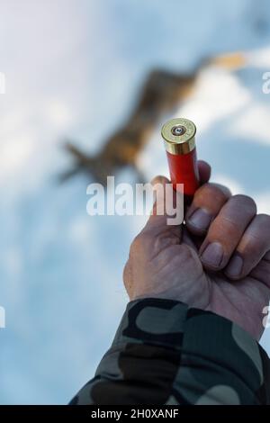 Hände eines Jägers, der die Patronenpatrone hält Stockfoto