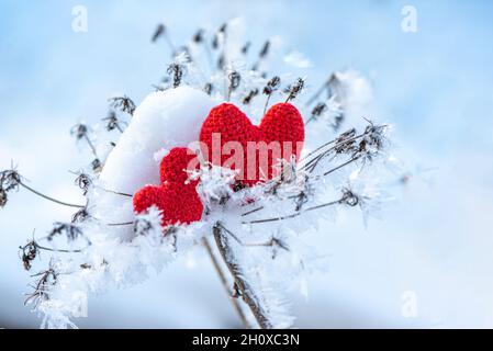 Rote Strickherzen liegen auf Schnee und Zweige auf blauem Hintergrund Stockfoto