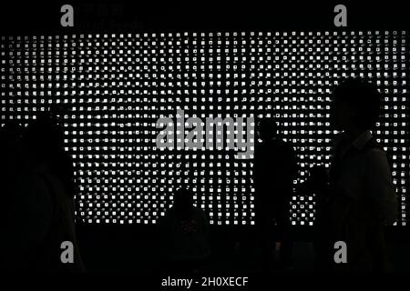 Kunming, Chinas Provinz Yunnan. Oktober 2021. Besucher sehen eine Wand, die verschiedene Arten von Samen im Kunming Botanical Garden in Kunming, südwestlich der chinesischen Provinz Yunnan, zeigt, 15. Oktober 2021. Quelle: Li Yahui/Xinhua/Alamy Live News Stockfoto