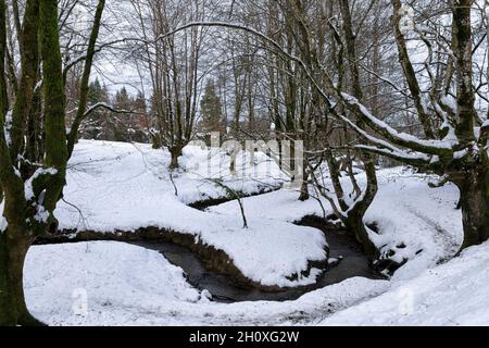 Otzarreta Buchenwald im baskenland im verschneiten Winter Stockfoto