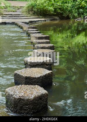 Nahaufnahme, niedriger Blick auf die Trittsteine über den Fluss Mole am Fuße des Box Hill, der den Weg über das glasige, von Bäumen gesäumte Wasser markiert. Stockfoto