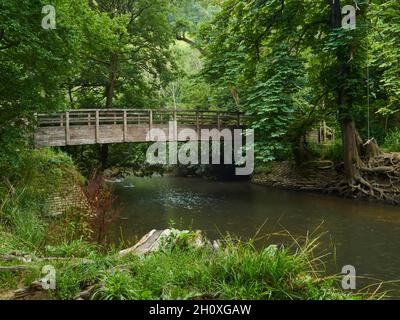 Eine kleine hölzerne Fußgängerbrücke über einen Fluss, umgeben und von Grün geschluckt, in der Landschaft von Surrey. Stockfoto