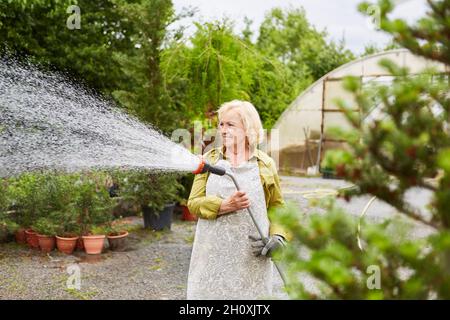 Ältere Frau als Gärtnerin, die Blumen mit einer Dusche im Kinderzimmer gießt Stockfoto