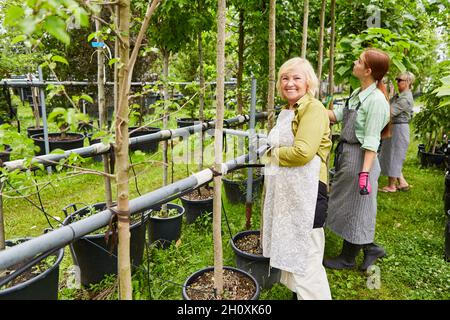 Glücklicher Gärtner und Team in der Gärtnerei, die die Wartung des Bewässerungssystems durchführen Stockfoto