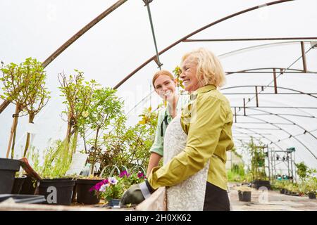 Gärtner und Gärtner-Auszubildender im Gewächshaus, der sich um Blumen und Pflanzen kümmert Stockfoto
