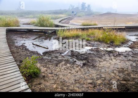 narodni prirodni rezervace Geopark SOOS, Karlovarsky kraj, Ceska republika / nationales Naturreservat SOOS, Westböhmen, Tschechische republik Stockfoto