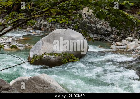 Felsdetails im Bach, der von Wald umgeben ist, in den Schweizer Alpen. Niemand drinnen Stockfoto
