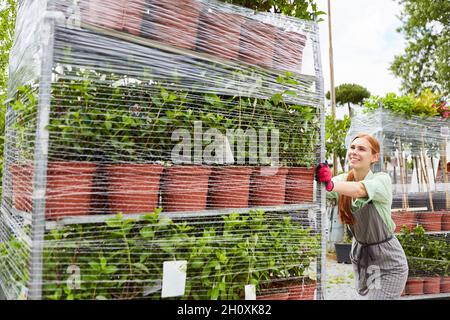 Der junge Gärtner schiebt Regalwagen mit frischen Pflanzen unter Plastik im Gartencenter Stockfoto