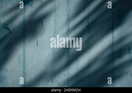 Hellblaues Holz Material Textur Hintergrund mit Schatten. Hartholzmuster Stockfoto